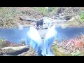 Black Coyote scares Heron