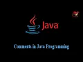 Comments in Java Programming ENG Prof Antony Vijay