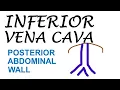 Chp27 Inferior Vena Cava Abdominal Part Posterior Abdominal Wall BDC Vol2