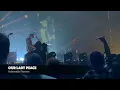 Our Lady Peace – Automatic Flowers (LIVE) | OLP30 Anniversary Tour | Oshawa ON 🇨🇦