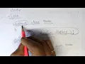 Abstract class in PHP btechcsetutorial7264