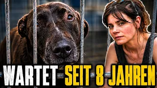 Sie kam mit 1 ins Tierheim - heute ist sie 9