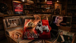 Elvis Martinez -  Ahora Te Puedes Marchar (360° Visualizer)