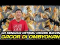 Download Lagu REJEKI SAYA ! NEMU KENARI GACOR NGEROLL DI OMBYOKAN DIJUAL HARGA BAHAN DIKIOS SINGGIH PASAR PRAMUKA MP3