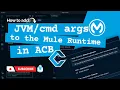 How to add - line arguments to the Mule 4 Runtime in Anypoint Code Builder ACB