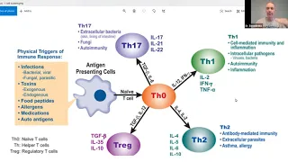 TH1 vs TH2 immune responses