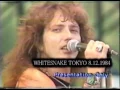 Download Lagu Whitesnake Kings Of The Day Live Tokyo 1984 With John Sykes Full Concert