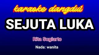 Download Sejuta Luka-Rita Sugiarto Karaoke MP3