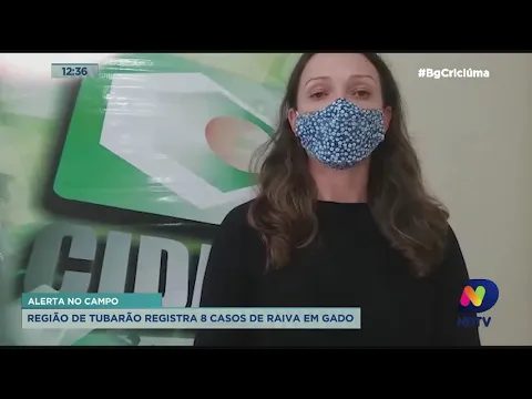 Oito casos de raiva em gado já foram confirmados na região de Tubarão somente em 2021