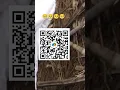 https media tenor --emoji-blushing gif