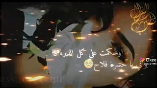 حالات واتساب فيديو حالات حب حالات غرال لايك بهاء اليوسف قالوا عنك اميره زلزال الحب 