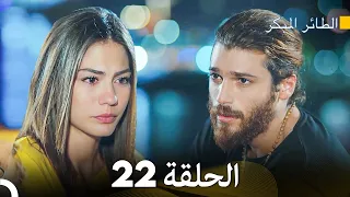 مسلسل الطائر المبكر الحلقة 22 Arabic Dubbed FULL HD 