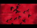 Download Lagu Slavik Pogosov - Лететь как птица (Премьера)