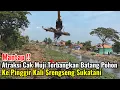 Download Lagu Mantap‼️Atraksi Cak Muji Terbangkan Batang Pohon Besar Ke Pinggir Kali Srengseng Sukatani