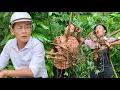 Download Lagu Don't Miss Out What Happens When You BOIL CASSAVA at Harvest