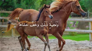 مختارات  ياعبل أين من المنية مهربي  لحن طربي  دندنها