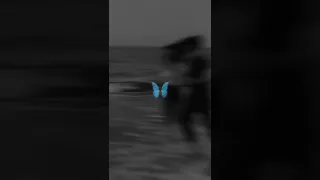 انت تجنن هالليله 