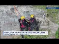 Dickson County TN rescue crews save dog from cliff