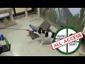McHenry County All Access - McHenry County Animal Control and Adoption Center