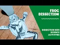 Dissecting Paper Frogs - Safely learn about Dissection and Biology