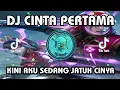 Download Lagu DJ CINTA PERTAMA REMIX VIRAL TIKTOK TERBARU 2023 - KINI AKU SEDANG JATUH CINTA