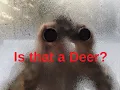 Deer Blind Windows Fogging Up Best Way to Reduce it