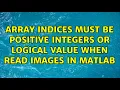Array indices must be positive integers or logical value when read images in matlab