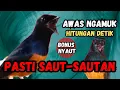 Download Lagu AWAS NGAMUK‼️ murai batu gacor PAGI SIANG MALAM AMPUH buat PANCINGAN murai batu agar cepat bunyi