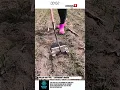 Download Lagu Rolling Hoe Tool – Lightweight Weeder for Crop Row