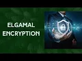 Implementation of ElGamal Algorithm Program in Python TechBD For You