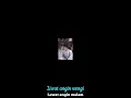 Download Lagu Grahono - Alice Arkadewi
