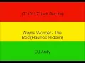 Wayne Wonder - The Best(Haunted Riddim)