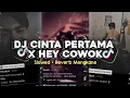 Lagu DJ CINTA PERTAMA X HEY COWOK SLOWED + REVERB MENGKANE VIRAL TIKTOK