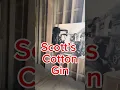 Scott Arkansas Settlement - Plantation