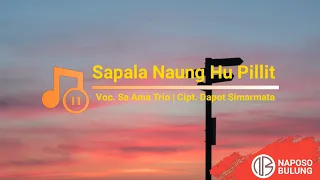 Download [Lirik Lagu Batak] Sapala Naung Hu Pillit - Sa Ama Trio MP3