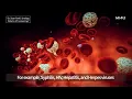 What is STI Screening How is STD STI Screening Done - STD Testing