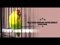 Download Lagu Masteran Lovebird Jantan Konslet ampuh cetak konslet