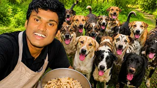 Feeding Chicken Curry Rice To Street Dogs.