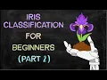 Iris Classification Part 2 Decision Tree Classifier