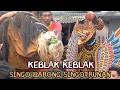 Lagu Aksi Ganas Macan Macanan Singo Barong Singotrunan Live Tangkong Singotrunan