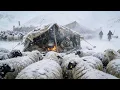 Surviving - 50 C How Shepherds COOKS and SLEEPS in a Frozen Tent