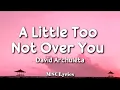 Lagu A Little Too Not Over You - David Archuleta (Lyrics)🎵