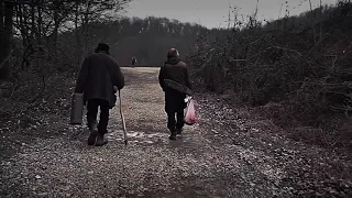 Fish And Cat Trailer IFFR 2014 
