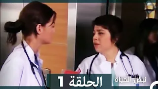 نبض الحياة الحلقة 1 Nabad Alhaya 