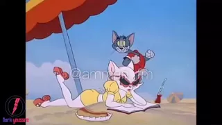 وقت غروب الشمس واقف على البحر بعيد توم وجيري 