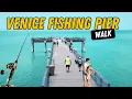 Best Pier in SWFL Venice Fishing Pier Florida
