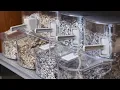 Sherwin-Williams Industrial Flooring-Dedicated Store in Little Canada MN
