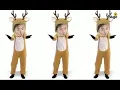 Zenibo