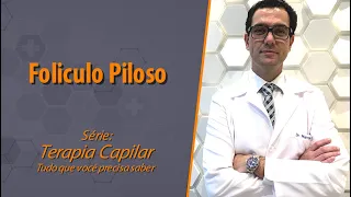 Folículo Piloso - Serie: Terapia capilar, tudo que você precisa saber