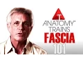Thomas Myers - Fascia 101